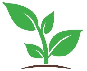 Check spelling or type a new query. Go Green