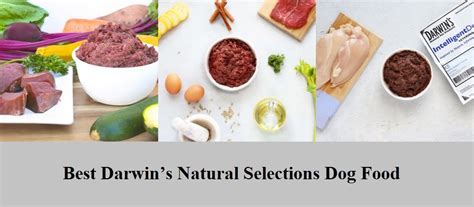 One option is darwin's pet. Best Darwin's Natural Selections Dog Food 2020 Top ...