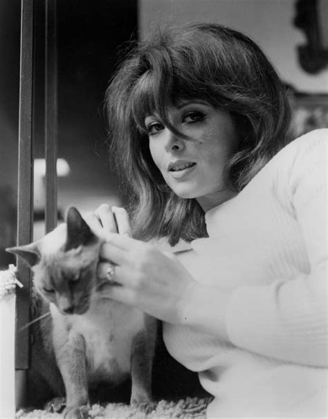 Picture Of Tina Louise