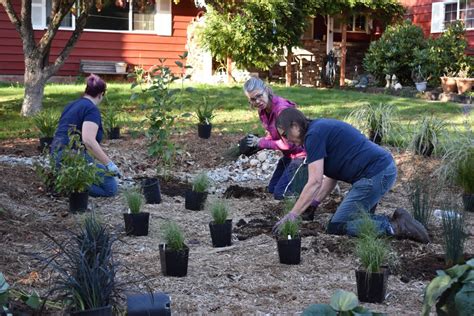 When he _ (arrive) at the party, julie 50. City Staff and Conservation District employees install ...