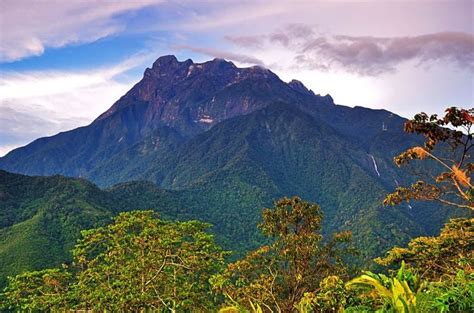 Jika di bayangkan ada salji kat gunung kinabalu, memang keadaan akan mirip seperti di gunung everest. The Flora And Fauna You Can Find On Gunung Kinabalu | Kaw ...