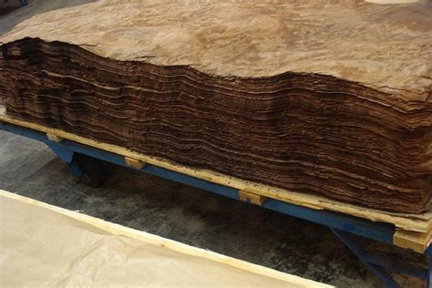 National cancer institute | rockville, md. Backlit Wood Veneer Panels | Feature Walls | National ...