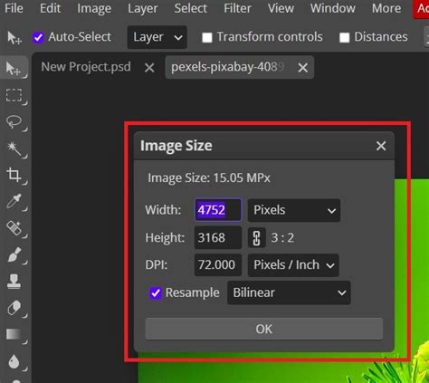How To Resize An Image In Photopea