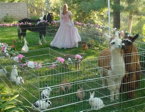 10,896 likes · 3 talking about this · 10,066 were here. Hiring Childrens Birthday Party Entertainment | Stay at ...