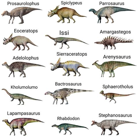 Dinosaurs Herbivores Dinossauros Herbívoros Dinosaurios Dinossauros