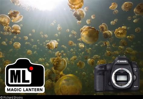 Users Guide For Underwater Video With The Canon 5d Mark Iii And Magic