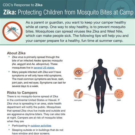 Zika Protecting Children From Mosquito Bites At Camp Fact Sheet From