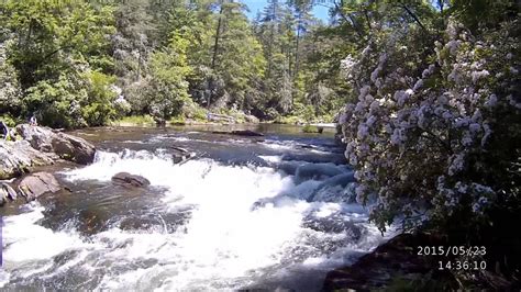 If you're looking for an affordable getaway surrounded by a breathtaking national forest then look no further. Hiking Sumter National Forest - YouTube
