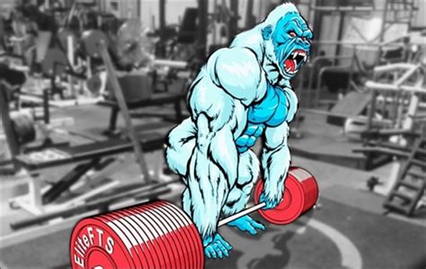 Elitefts
