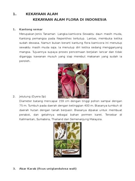 Keanekaragaman budaya di indonesia serta kekayaan alam, flora dan fauna yang cukup beragam merupakan perpaduan yang lengkap dalam mendukung. Kekayaan Alam Flora Dan Fauna Di Indonesia