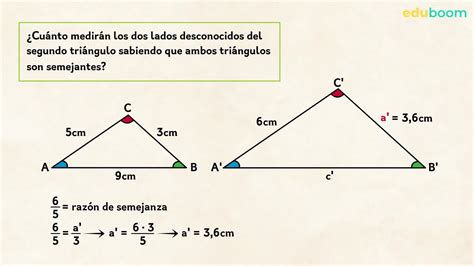 Tri Ngulos Semejantes Criterios De Semejanza Matem Ticas De Secundaria