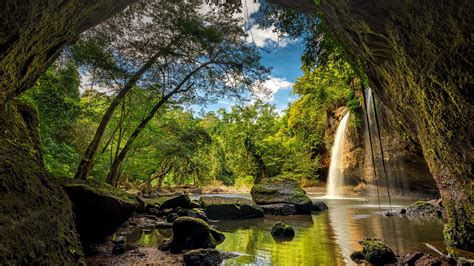 Nature Landscape Tropical Trees Forest Water Rocks Moss Clouds
