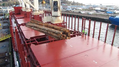 Loading Timber Onto A Cargo Ship Youtube