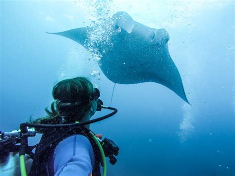 A Magical Dive With The Manta Rays In Nusa Lembongan
