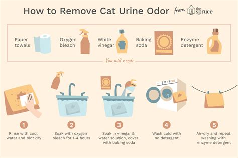 There are numerous commercial products on the market, like nature's miracle that can help you treat pet urine. How to Remove Cat Urine Odor From Laundry