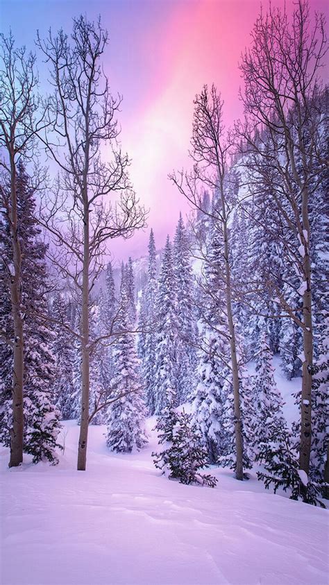 Best 25 Winter Landscape Ideas On Pinterest Winter Beauty White