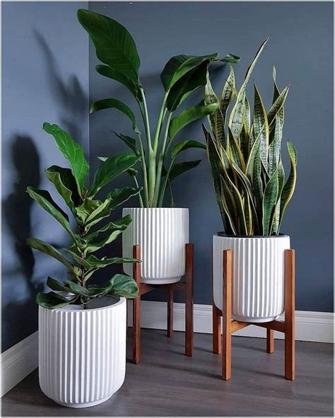 20+ popular indoor plant decor for your dream room (19) » Reska | Plant