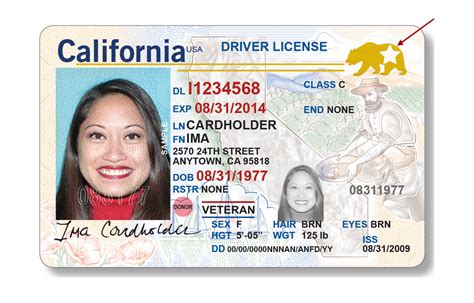 Licencia De Conducir Mejorada En Estados Unidos Qué Es Y Cuáles Son