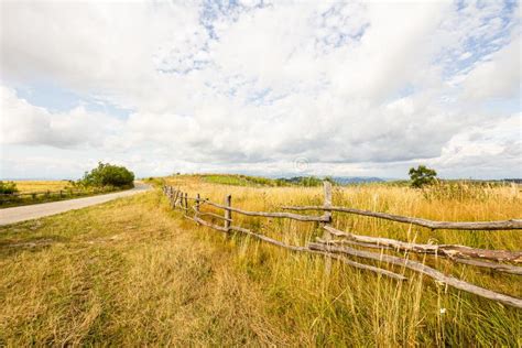 Farmland Meadow Pasture Landscape Stock Photo Image Of Meadow