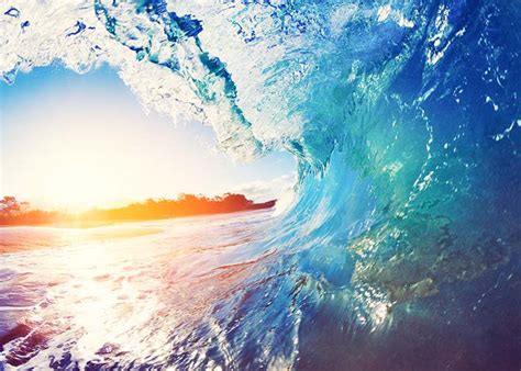 When is & how many days until as stipulated, the world oceans day celebration is directed by an annual theme, which seeks to. World Ocean Day 2019 - Information, Activities, Theme