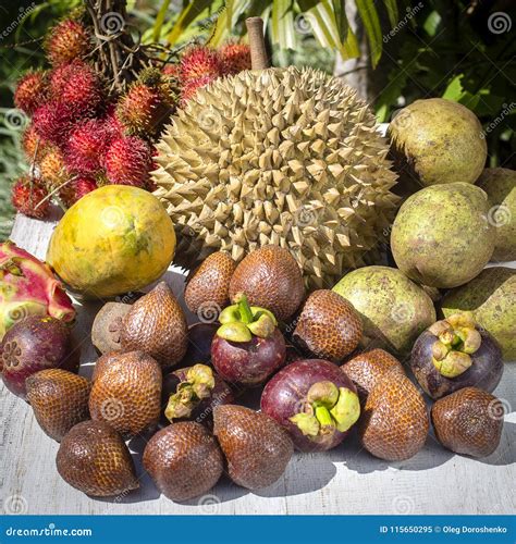 Assortment Of Tropical Fruits In Island Bali Indonesia Stock Image