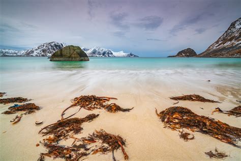 Lofoten Haukland Beach Foto And Bild Europe Scandinavia Norway Bilder