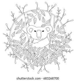 Koala Bear Images, Stock Photos & Vectors | Shutterstock