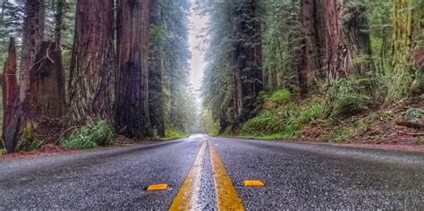 Get Off The Beaten Path With My Best Drives In The World California