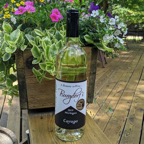 First day of bottling season! We're excited to release our new 2019... - Burgdorf's ...