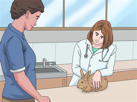 How To Determine The Sex Of A Rabbit 10 Steps With Pictures Wiki