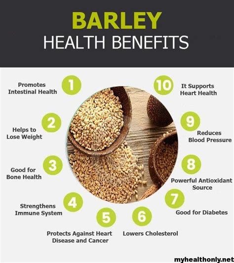 18 Tremendous Health Benefits of Barley, You must know ...