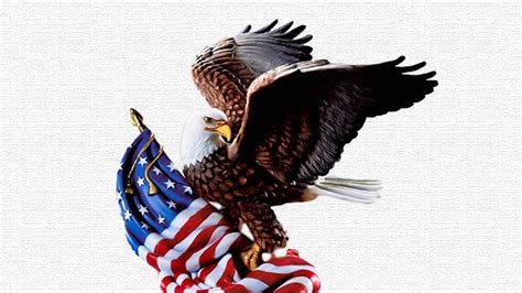 patriotic bald eagle wallpaper 66 images
