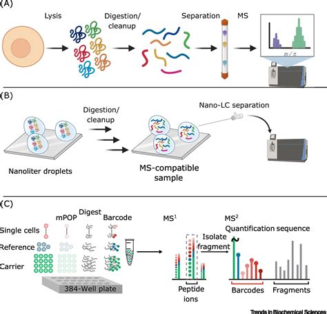 Single Cell Proteomics Trends In Biochemical Sciences