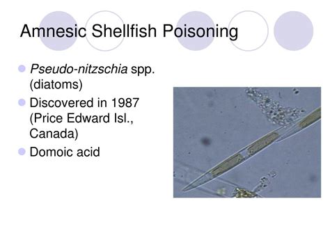 Ppt Harmful Algal Blooms Powerpoint Presentation Free Download Id