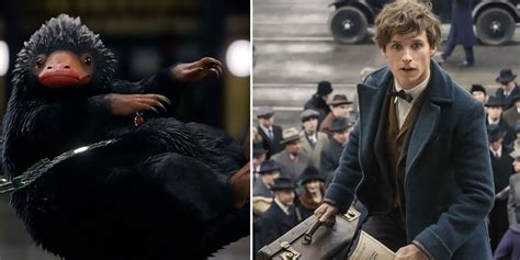 10 Ways The Fantastic Beasts Movies Can Still Be Salvaged