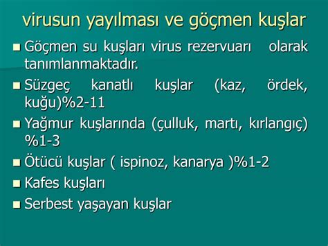 Outbreaks of the h5n8 bird flu strain have been registered in russia, europe, china, the middle east and north africa in recent months, but only in poultry. PPT - AVİAN İNFLUENZA ( TAVUK VEBASI ) PowerPoint ...