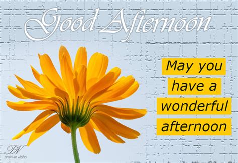 Good Afternoon Wishes Premium Wishes