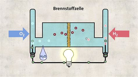 Grüne Wasserstoffwirtschaft So Kann Sie Funktionieren Br24