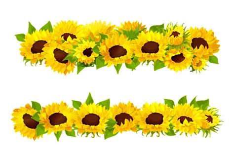 Sunflower Illustrations Royalty Free Vector Graphics And Clip Art Istock