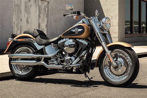 Harley davidson fat boy feature a low saddle height of 670 mm which will be accessible as per your requirements. HARLEY DAVIDSON FAT BOY specs - 2017, 2018, 2019, 2020 ...