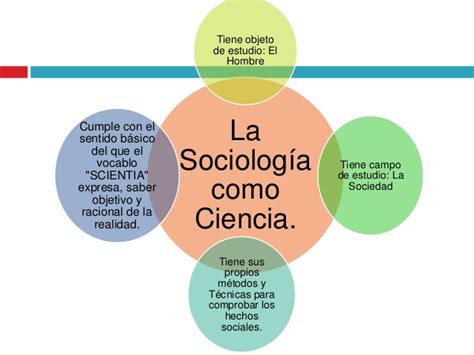 Dinámica Social And Desarrollo Humano Infografia Sociología