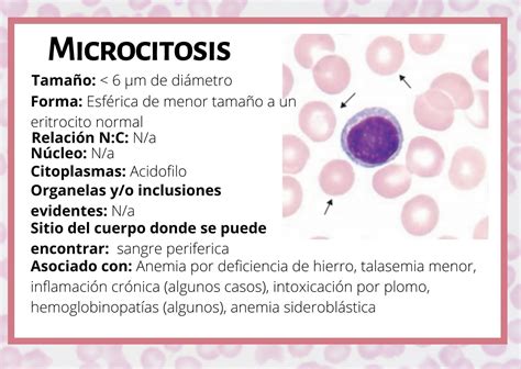 O Que E Microcitose