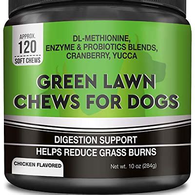 Keep your lawn looking beautiful and yellow/brown spot free with grass green. GOODGROWLIES Grass Saver for Dogs - Dog Pee Lawn Repair ...