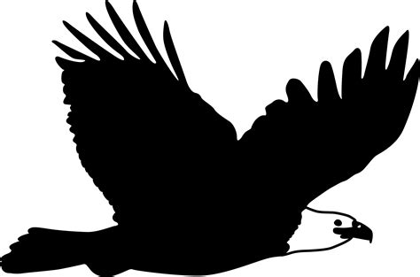 Bald Eagle Flight Bird The Hawk Flies High Png Download 17161135