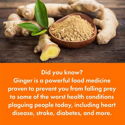 Insect control in ginger is desirable because insects may be involved in the spread of diseases, and. Ginger Health Benefits: This Powerful Plant Can Help You ...