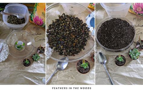 Designed to have high absorbency to retain moisture and nutrients for plant use. How to plant an indoor succulent garden - Feathers in the ...
