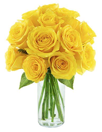Yellow Roses Of Texas One Dozen Long Stemmed Roses With Vase
