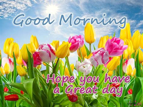 Poetry And Worldwide Wishes Good Morning Image With Tulips Heart