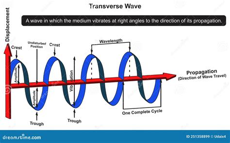 Transverse Wave Infographic Diagram Physics Science Education Stock