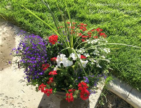 Container flowers flower planters hanging planters flower pots flower baskets hanging this container is great for changing the atmosphere or determining a particular style of space in decorate your home in the spirit of independence day with our red, white, and blue 4th of july decorations. Red, White & Blue Patriotic Flower Pot - Western Garden ...